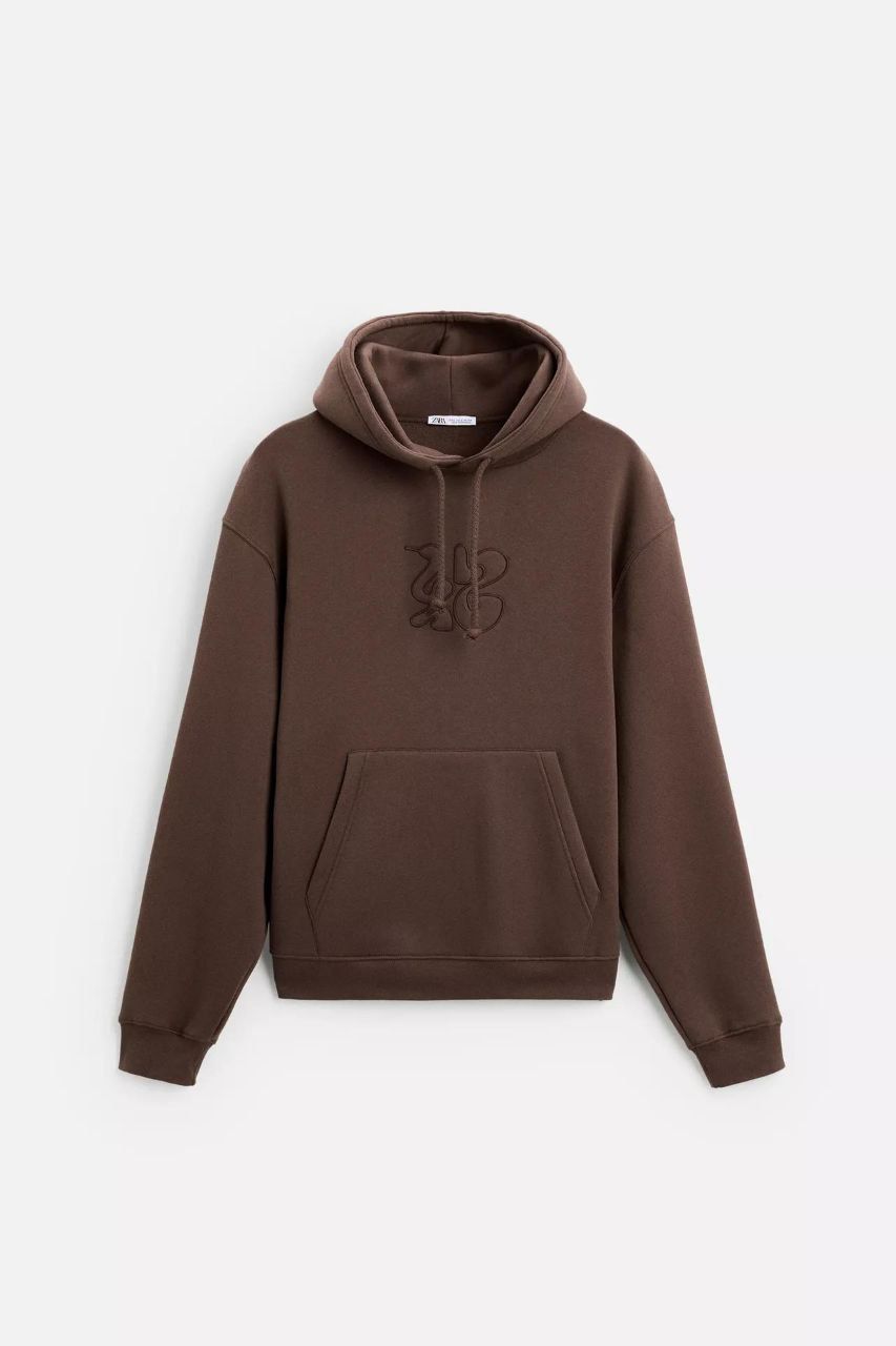 Zara Oversized Hoodie Printed | Brown